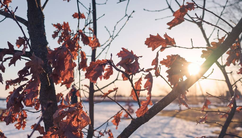 Kakšno vreme nas čaka ta konec tedna?
