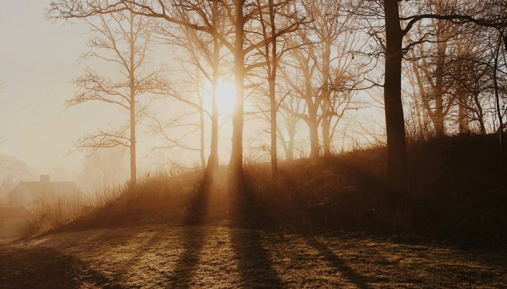 Skrivnosti zimskega neba: V pričakovanju najhitrejšega zahoda Sonca, zimskega solsticija in božiča