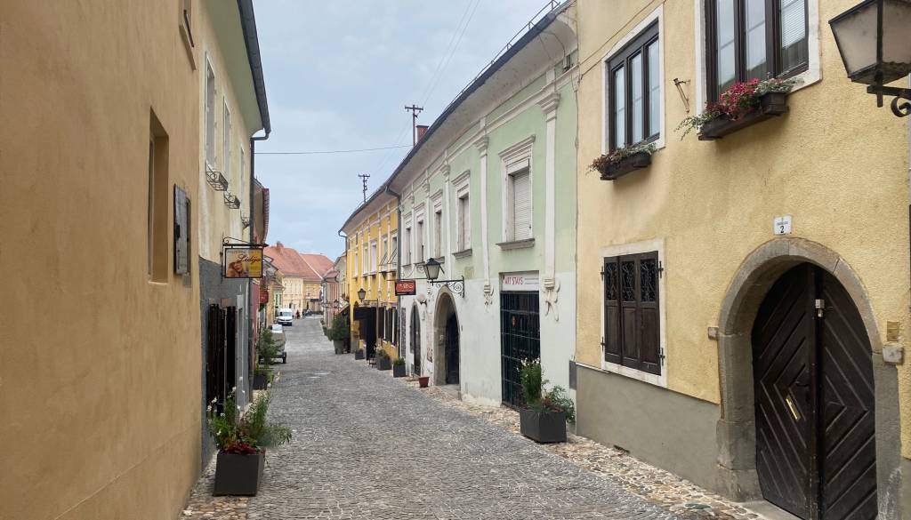 Ptujska občina v oddajo poslovnega prostora na Jadranski ulici. Čemu je namenjen?