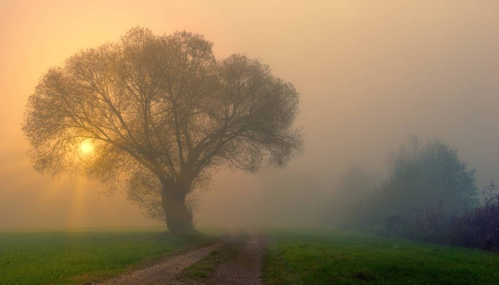 Zgodnji del tedna bo zaznamoval vremenski preobrat, kakšne bodo spremembe?
