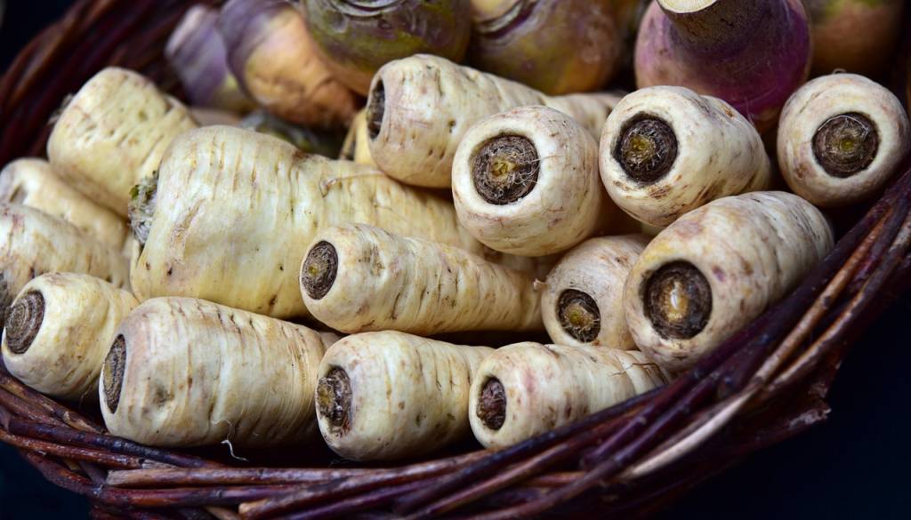 Zakaj bi morali jesti več pastinaka? Odgovor vas bo presenetil