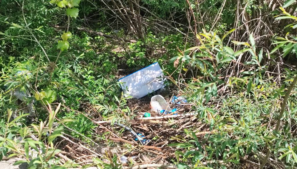 VIDEO: Ne v zabojnike za odpadke, Ljubljančani smeti vozijo ob Savo