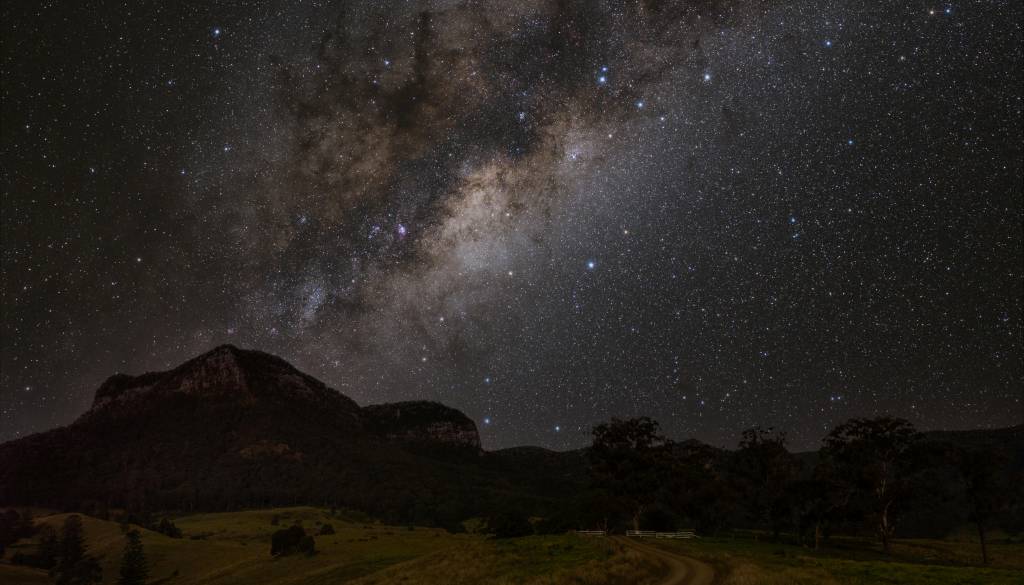 Nemški center lani zabeležil rekordno število opažanj NLP