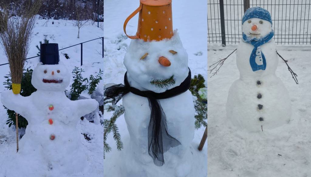 FOTO: Ko sneg prebudi domišljijo! Tako ste v zimski idili ustvarjali snežake po Sloveniji