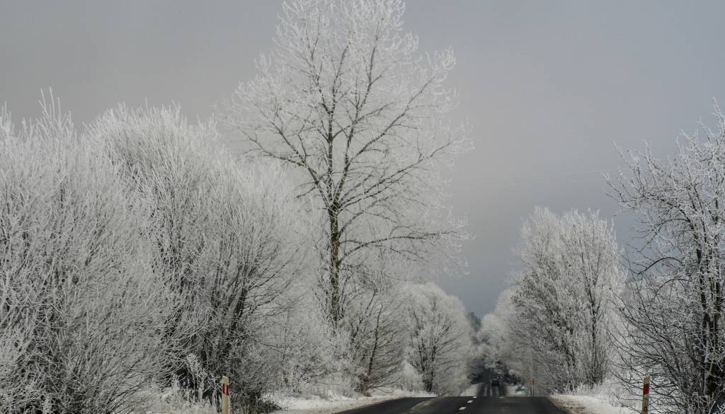 Jutranje temperature krepko pod ničlo, kje je bilo najhladneje?