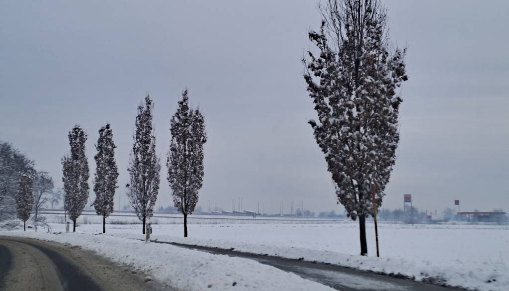 Megla na severovzhodu, drugod deloma jasno
