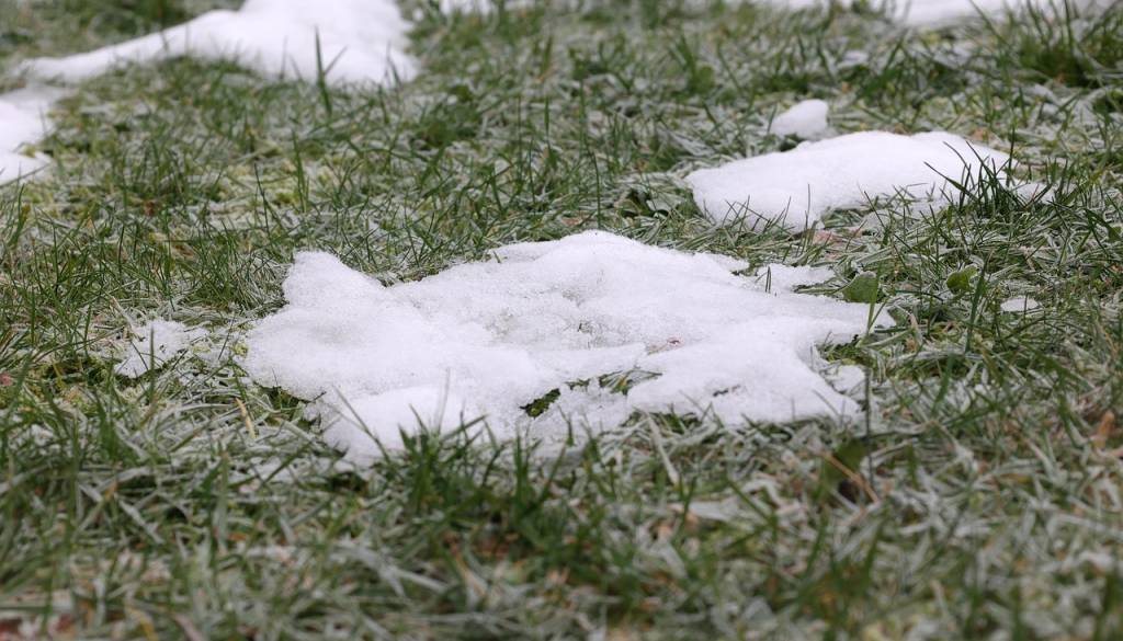 Kakšno bo vreme? Možna kakšna kaplja dežja, ponekod megla