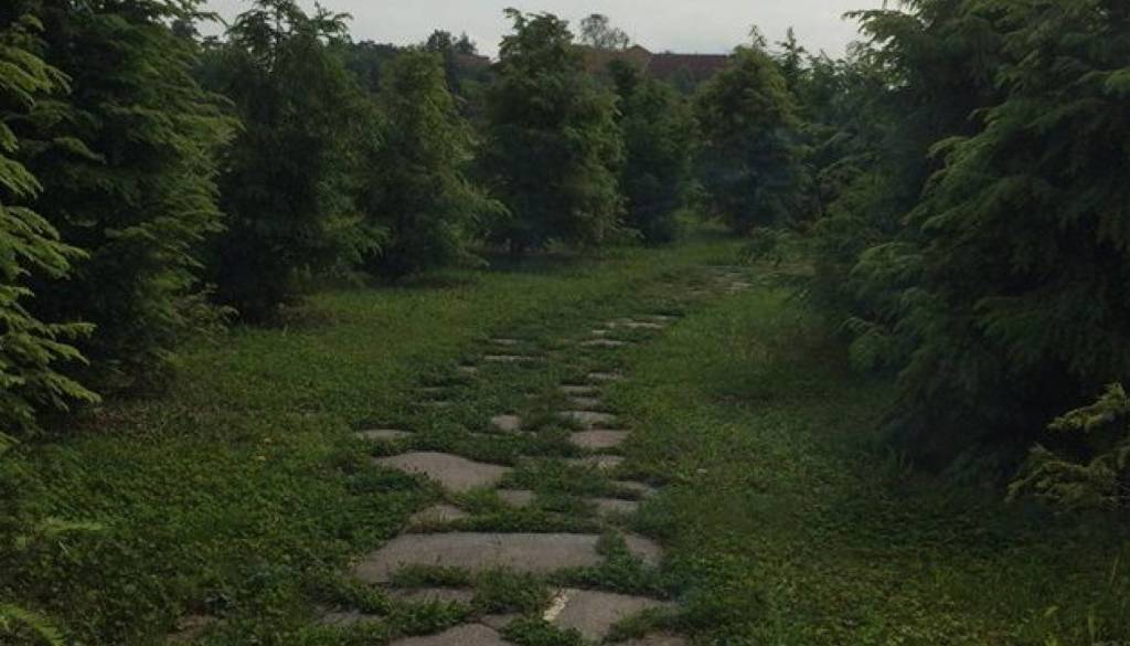 Labirint umetnosti na Fužinah v plamenih: Knjige zažgane, park opuščen