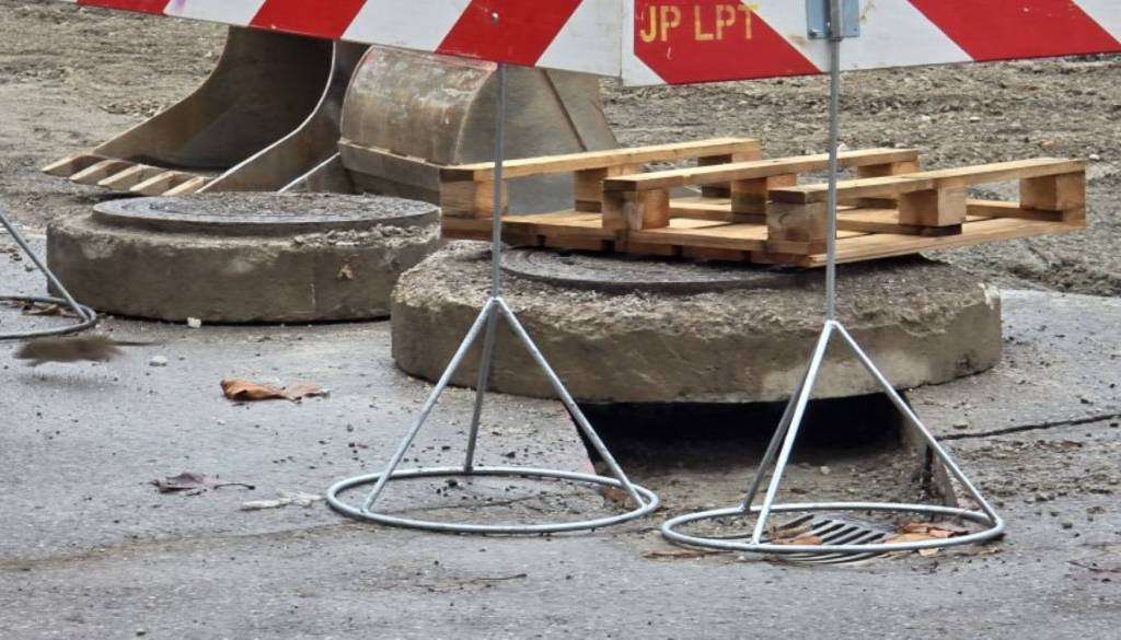 FOTO: Podgane skačejo iz smeti in kanalizacije ob obnovljeni Linhartovi cesti, Janković še čaka z ukrepi