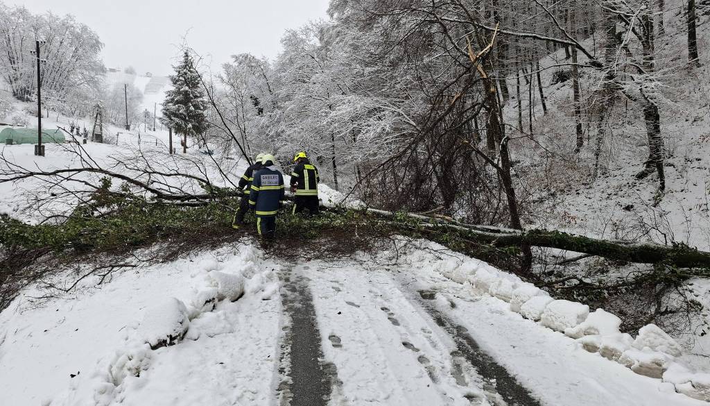 O električnem mrku v Halozah: Večkrat smo bili primorani prekiniti delo zaradi padanja dreves, ki so ogrožala ekipe