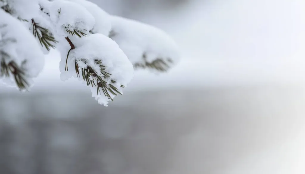 Konec tedna prinaša sneg in mraz, januar v znamenju prave zime