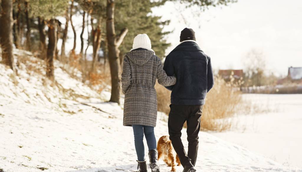 Ovni k novim ciljem, biki k priznanju