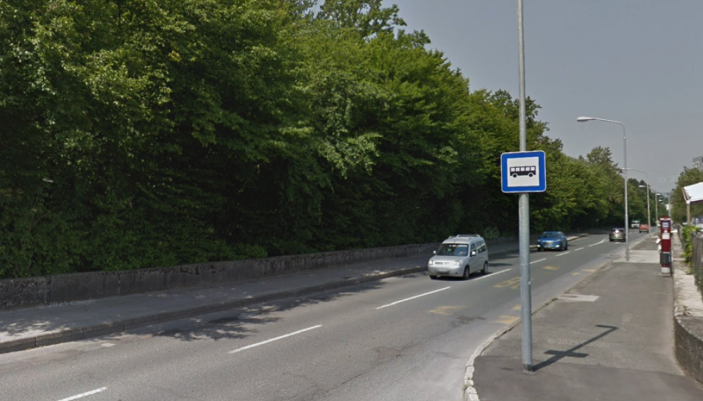 Padlo drevo poškodovalo vozilo, občan že mesece čaka na odgovor in povračilo škode mariborske občine