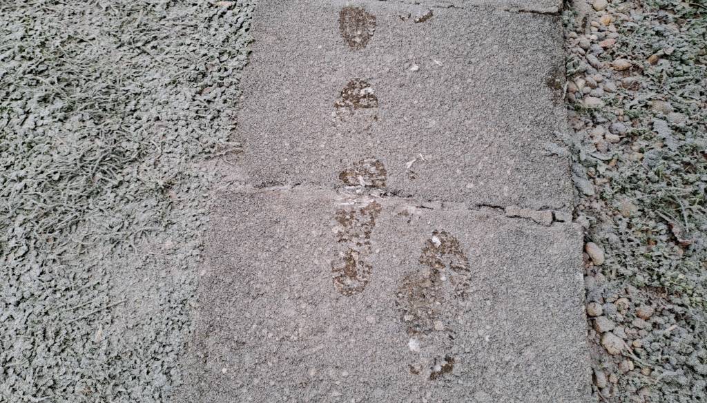 Megla po nižinah, v sredini tedna nove padavine