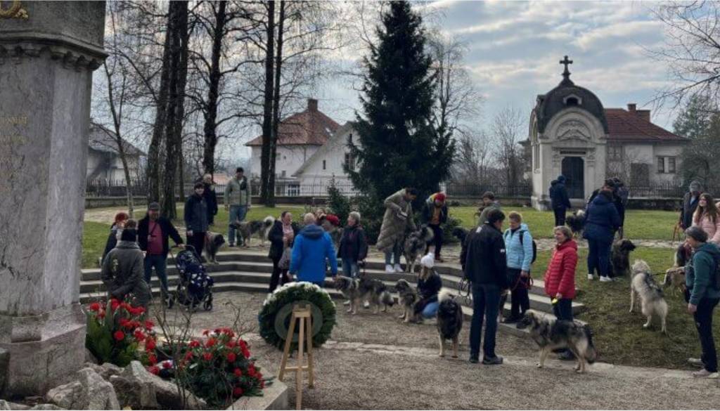 Foto: Kraški ovčar