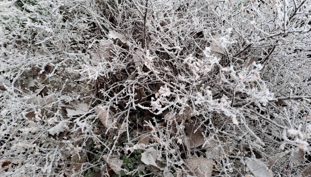 Plohe še vztrajajo, nato sprememba