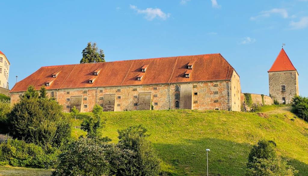 Javnega razpisa za projekt obnove grajske žitnice še ni, zdaj sta problem še sekvoja in lipa