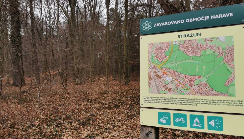 Mariborčani zaskrbljeni: V Stražunskem gozdu razpada hiša, otroci pa se igrajo med azbestnimi ploščami