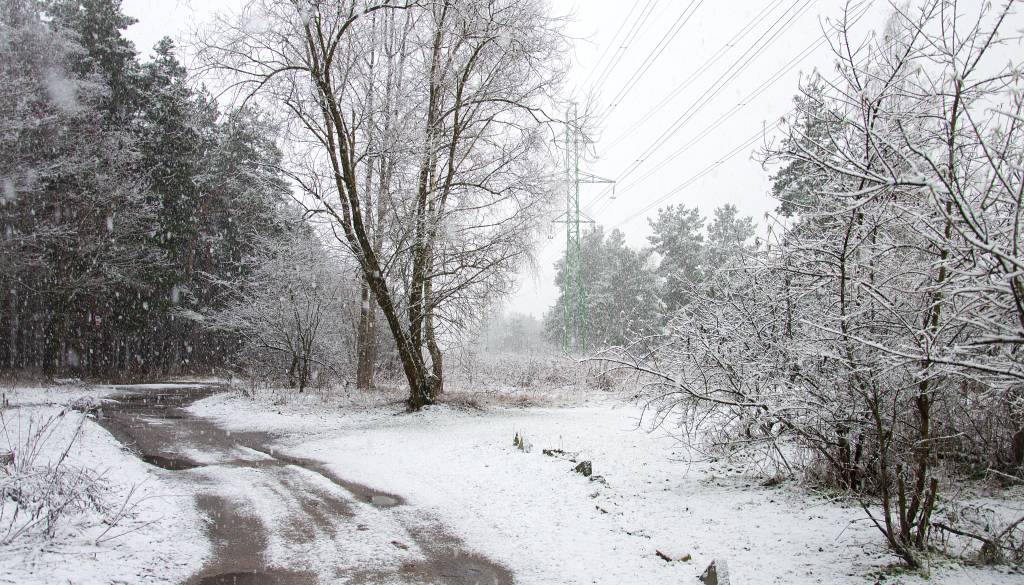 Sneženje ponoči, nato burja in ...
