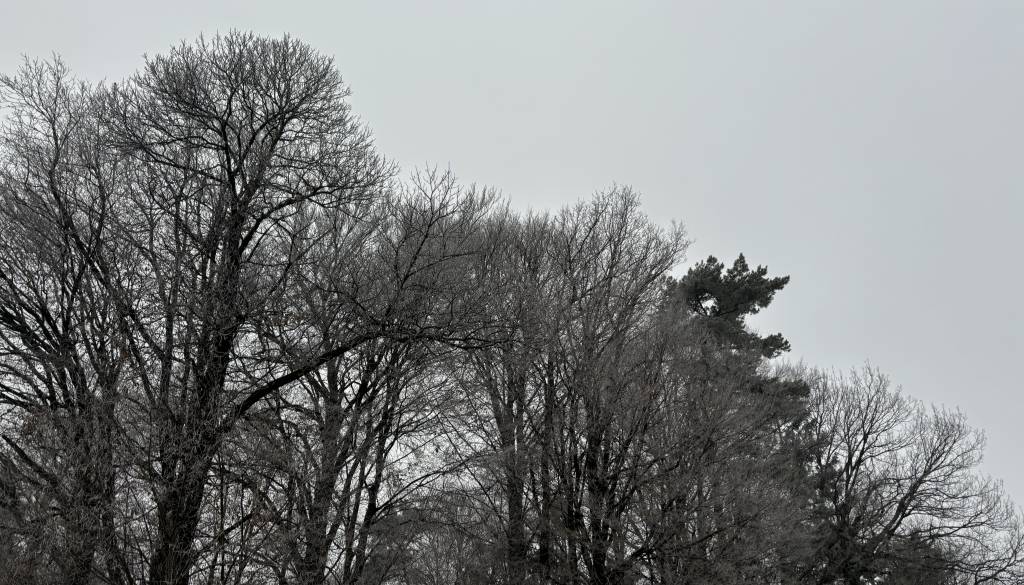 Pripravite se na sneg! Takšna je napoved