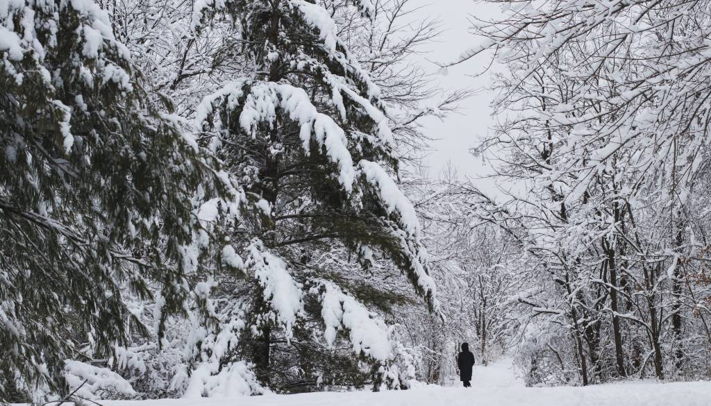 Snežna noč pred nami: Kje bo snežilo in kdaj se bo zjasnilo