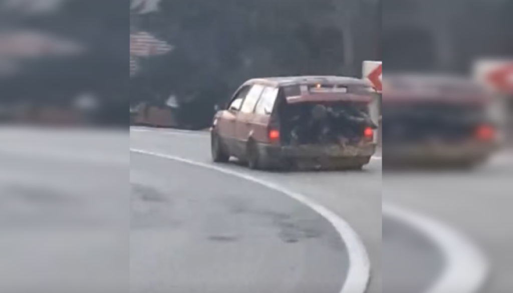 VIDEO: Voznik v prtljažnik spravil skoraj celo drvarnico