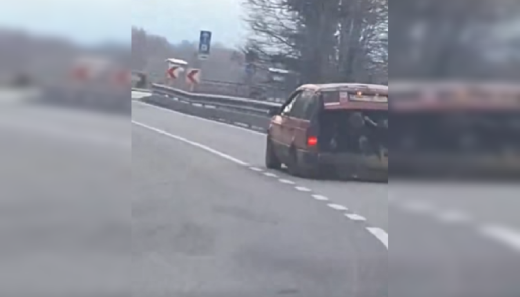 VIDEO: Nenavadni prizor, avto pod težo drv povsem pri tleh