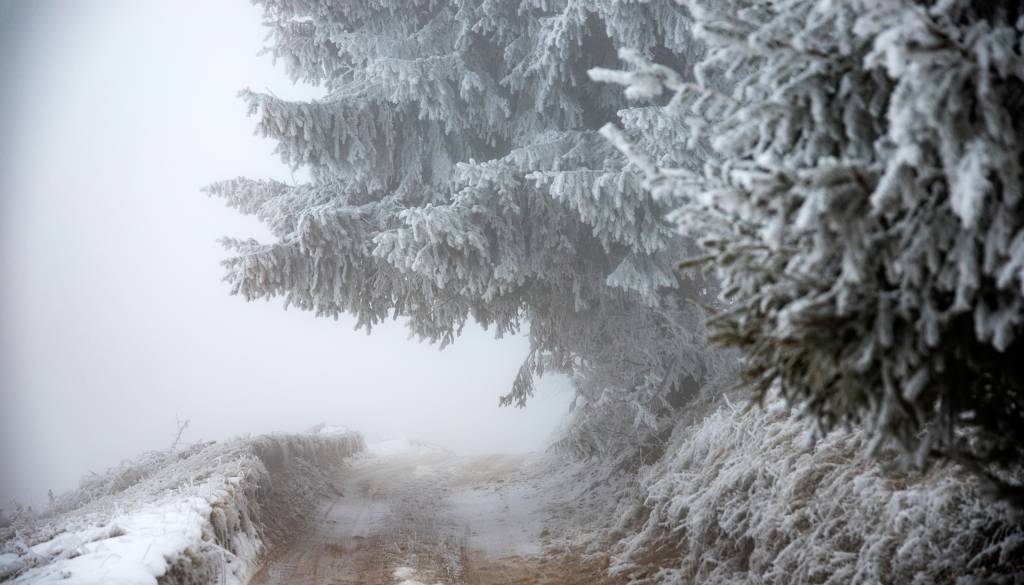 Slovenijo pobelil sneg, jutri vse do minus devet stopinj Celzija
