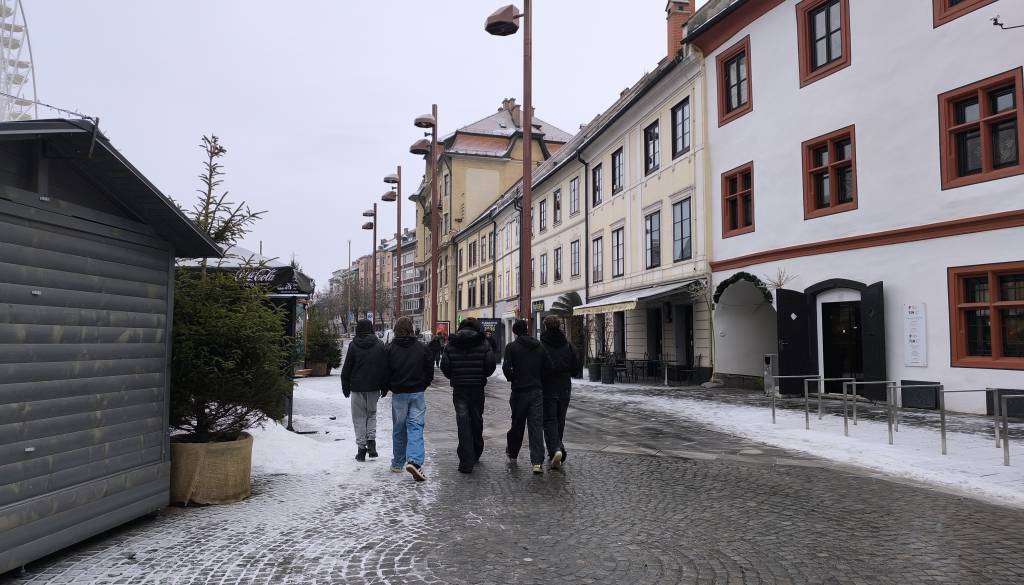 FOTO: Sneg in nizke temperature povzročajo težave. V Mariboru velika nevarnost padcev