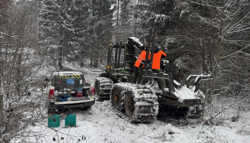 Novo leto, stare preizkušnje: pomoč v kočevskih gozdovih že prvi delovni dan