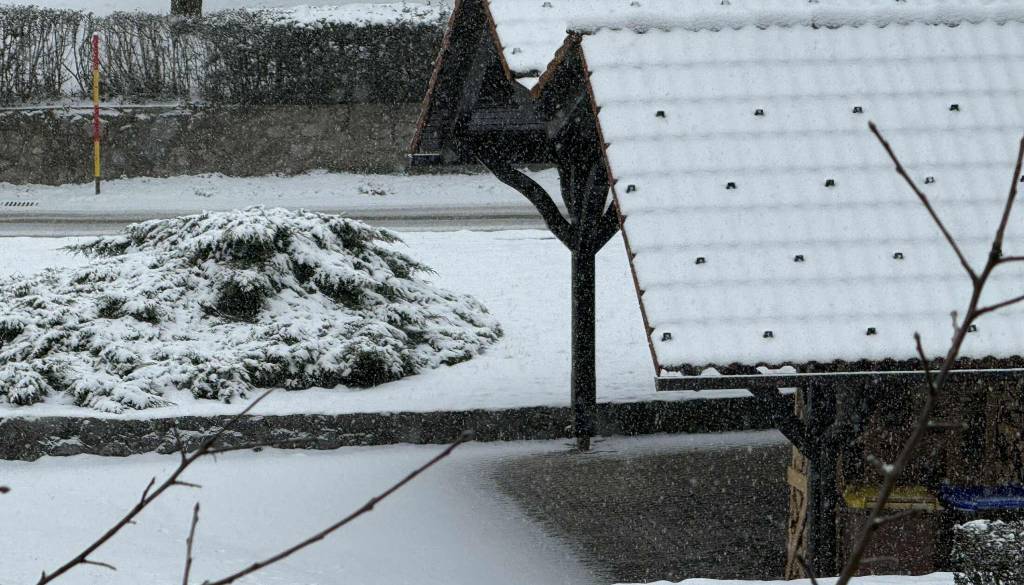 Sneženje zajelo Dolenjsko, jutri bo mraz še hujši