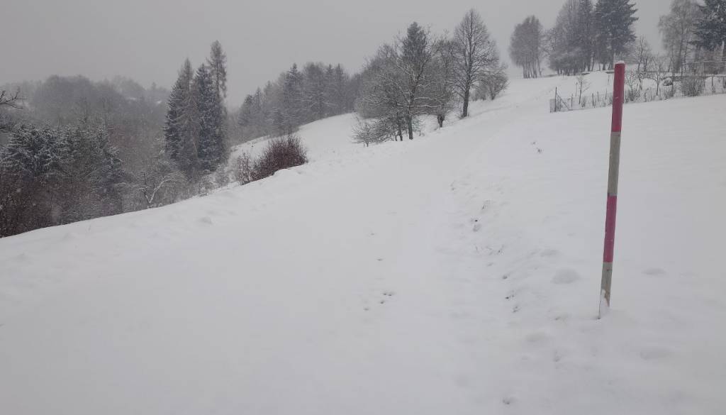 Foto: Ž.K.