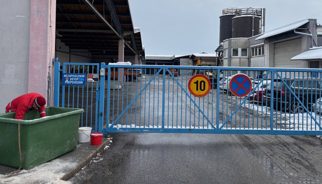 Vam sneg in led povzročata težave? Preverite, kje lahko dobite brezplačno sol za posipavanje zasebnih površin