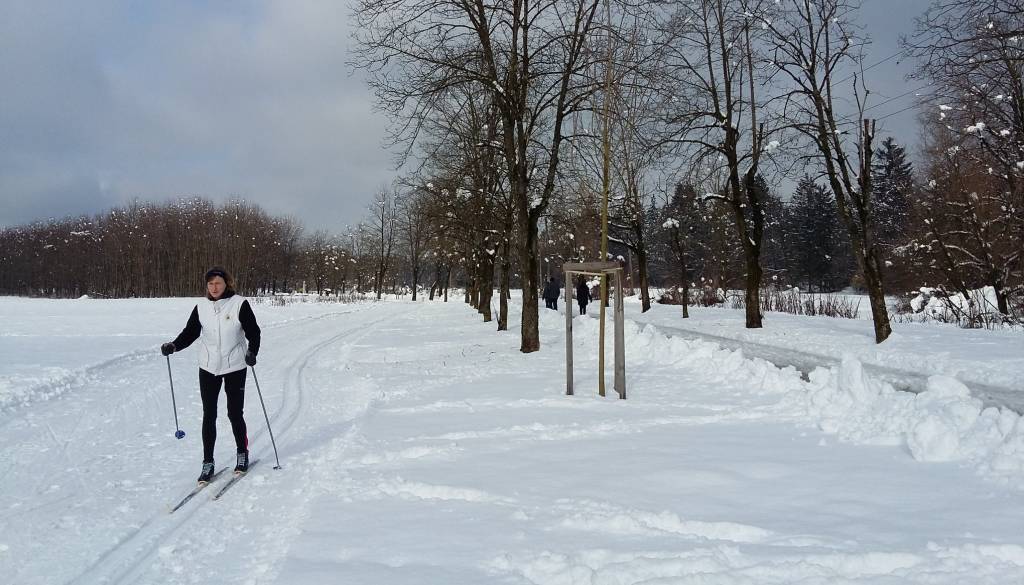 Ljubljana dobiva tekaške proge! Preverite, kje bodo urejene – Koseški bajer spet razočaral tekače