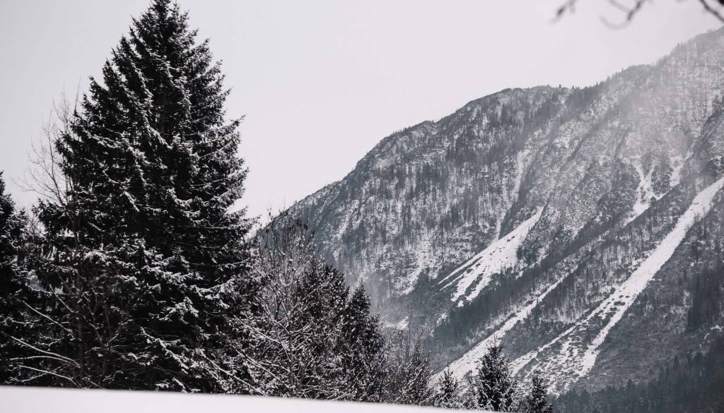 Naša družina spletnih medijev ima novega člana: Gorenjskainfo!