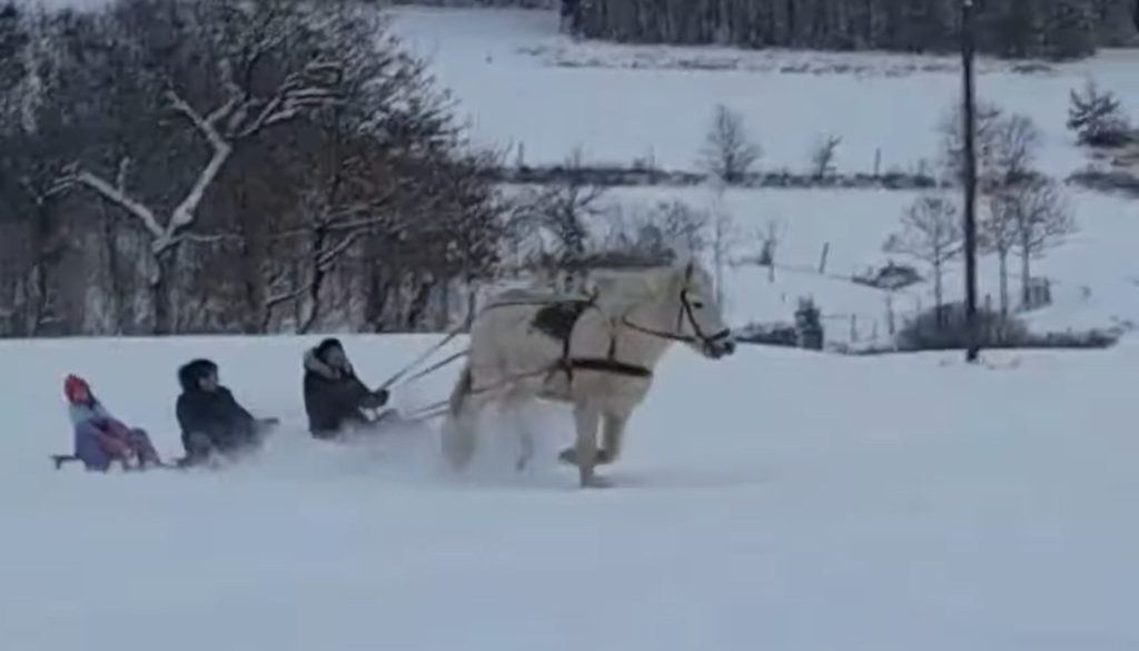 VIDEO: Na Goričkem zimsko idili izkoristili na zanimiv način