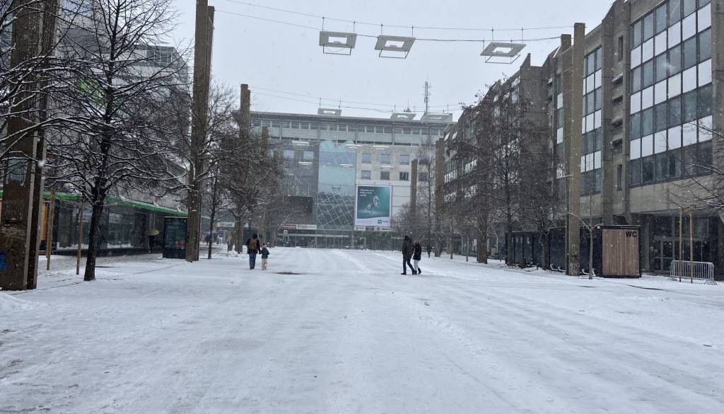 Strokovnjaki opozarjajo: Ne podcenjujte mraza, doma imejte zalogo hrane in zdravil