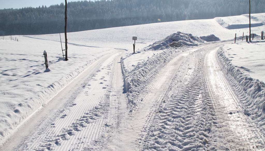 Foto: Mladinsko društvo Ponikve