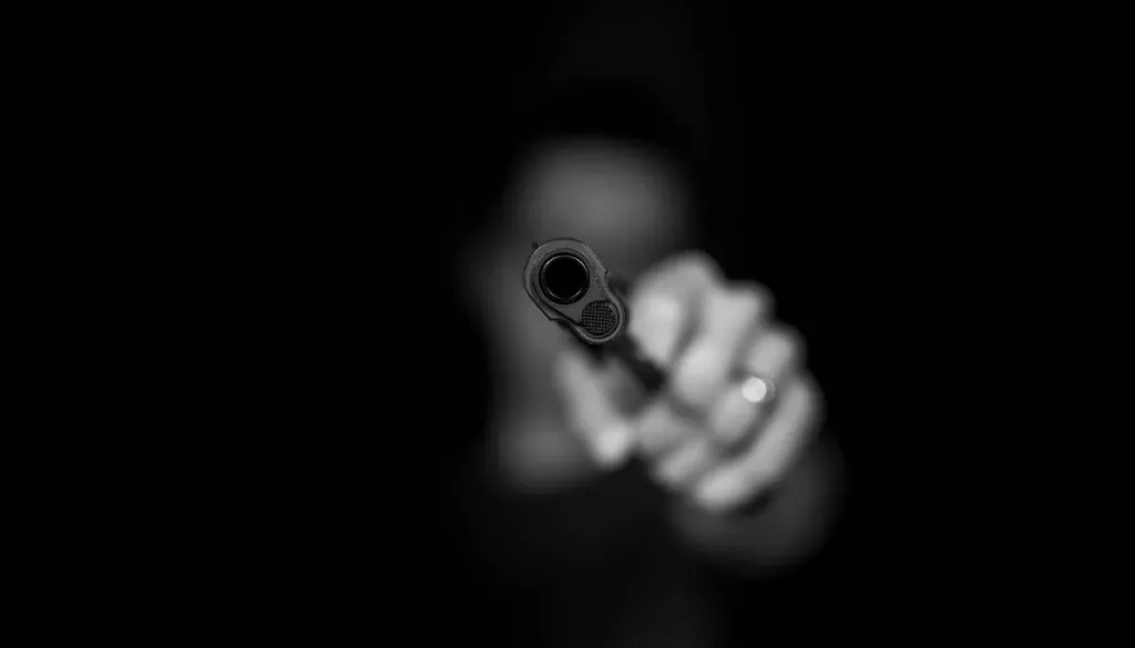 Sredi noči odjeknili streli, sledila je policijska intervencija