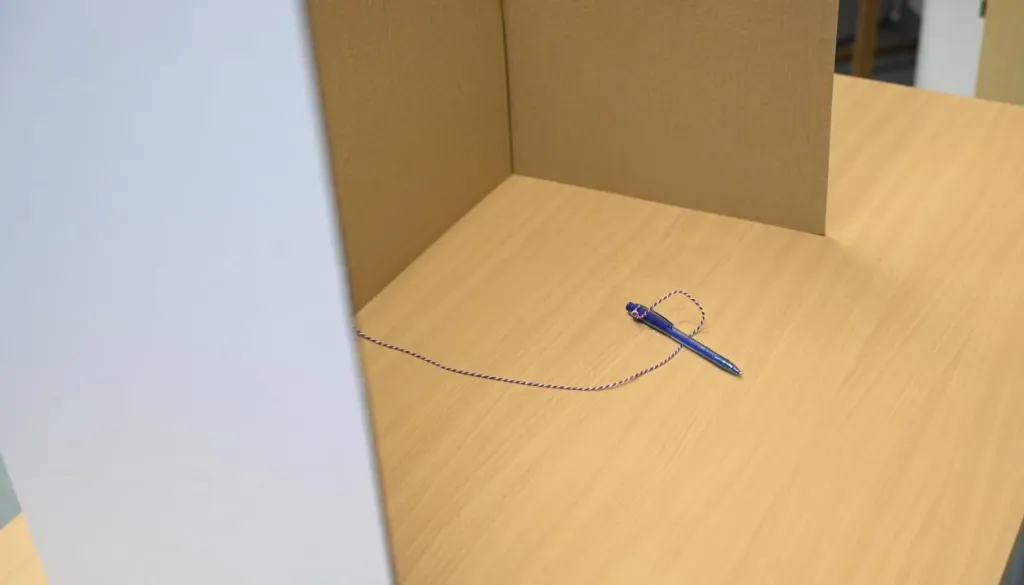 Prišteli še glasove iz tujine: Izidi referendumov ostajajo nespremenjeni