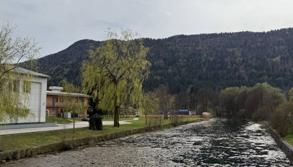 V Kočevju in okolici bodo zasadili več kot 90 dreves in grmov, kje točno?