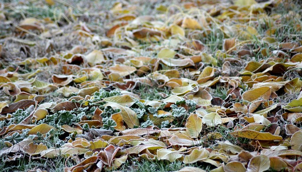 Oktobrski mraz pokazal zobe, tudi na Ptuju temperature pod ničlo