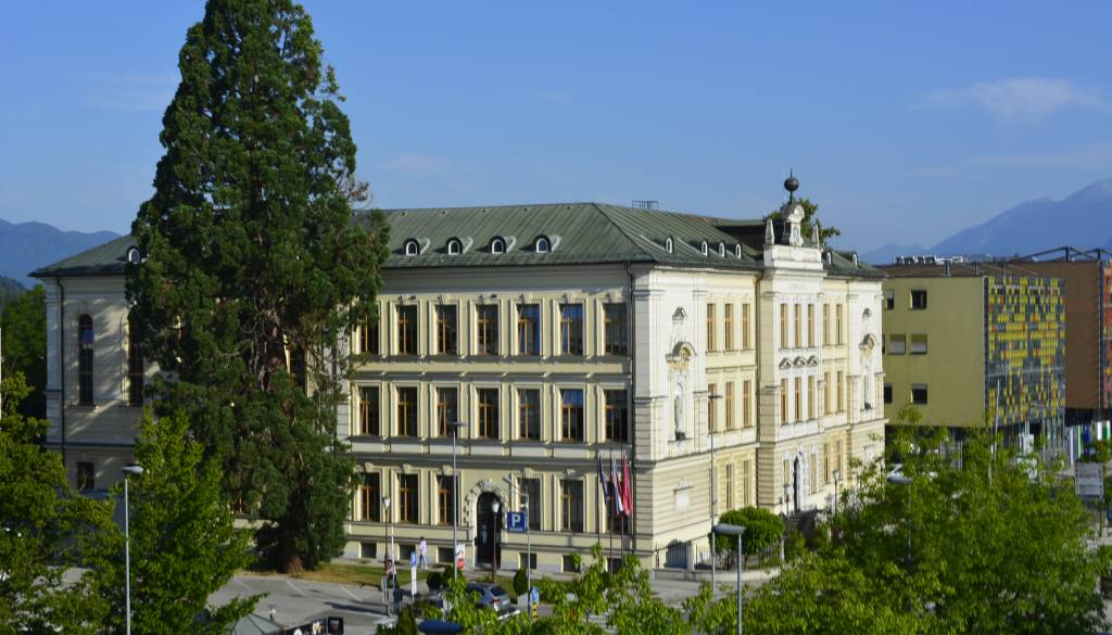 Legendarna sekvoja se vrača na Gimnazijo Kranj v novi podobi