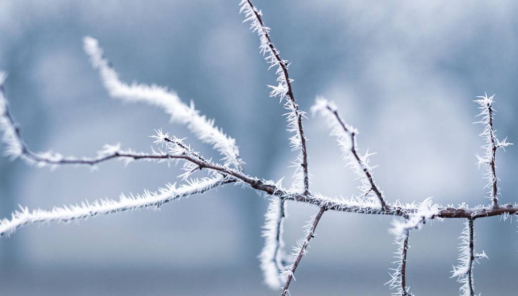 Naj vas sončno vreme ne zavede, že jutri nas čakajo temperature pod ničlo