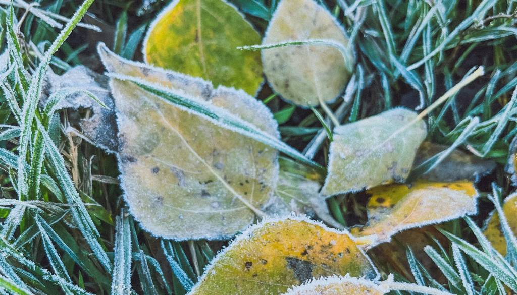 Vreme pripravlja preobrat: Ponekod se bodo temperature spustile pod ledišče