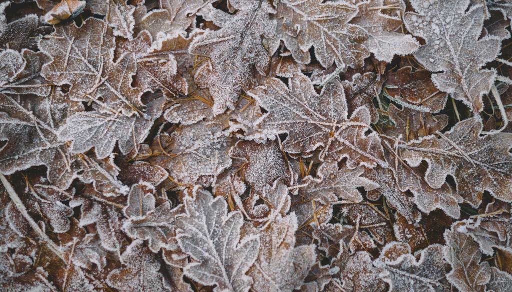 Čakajo nas hladna jutra, temperature se bodo spustile tudi nekaj stopinj pod ledišče