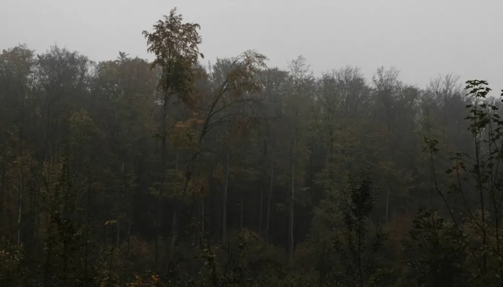 Vremenoslovci napovedujejo mrzla jutra, živo srebro bo padlo globoko pod ničlo