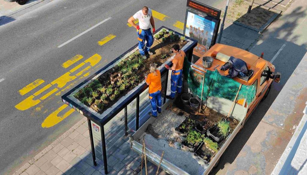 V Mariboru prihodnje leto nove zelene avtobusne nadstrešnice, znano je, kje jih bodo postavili