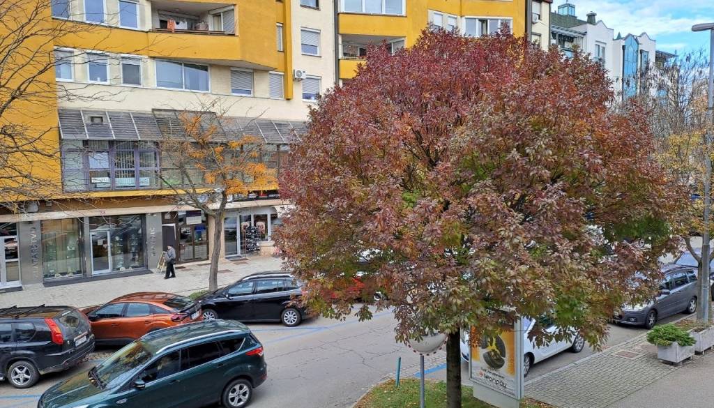 Pred dvodnevnim zaprtjem trgovin naval na nakupe, Murska Sobota že v zastojih