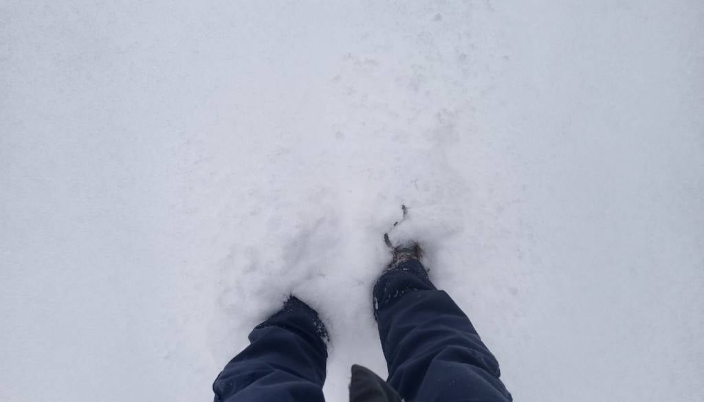 Sneg že na začetku novembra? Prihaja vremenski preobrat, preverite, kaj nas čaka